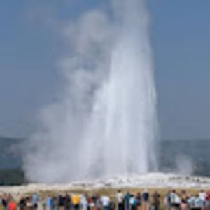 Meet your Posher, Elaine